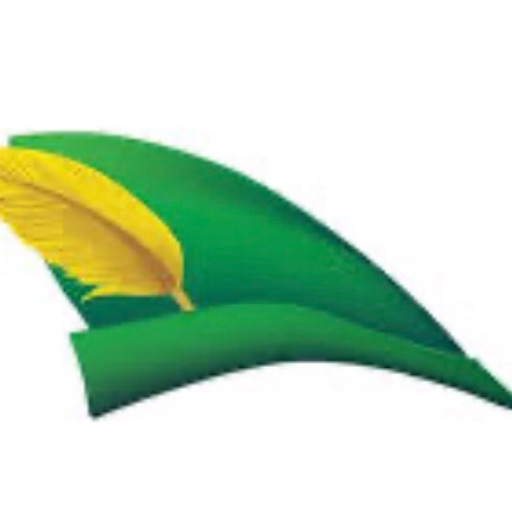 Company image